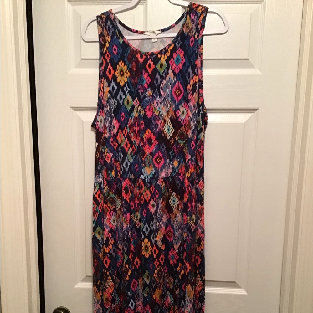 Terra & Sky Multicolor Floral Dress
